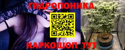 ГАЛЛЮЦИНОГЕННЫЕ ГРИБЫ Кинель