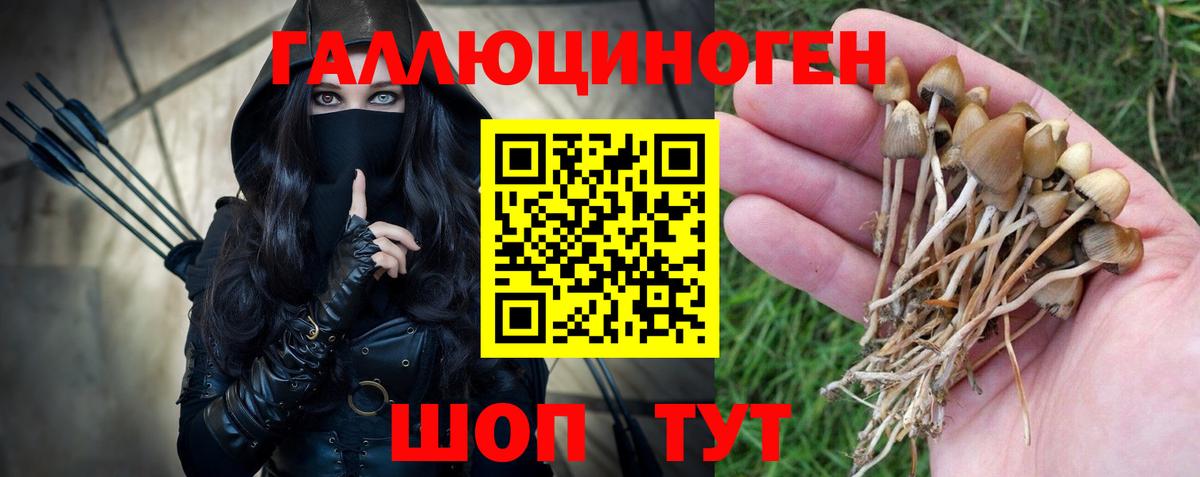 Галлюциногенные грибы мухоморы Коломна